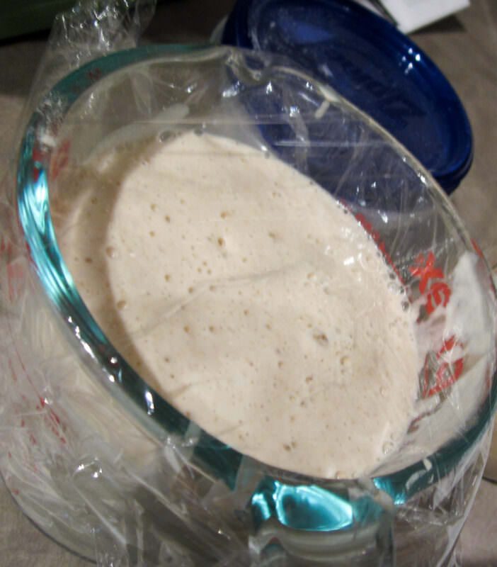 Sourdough Starter: Creation