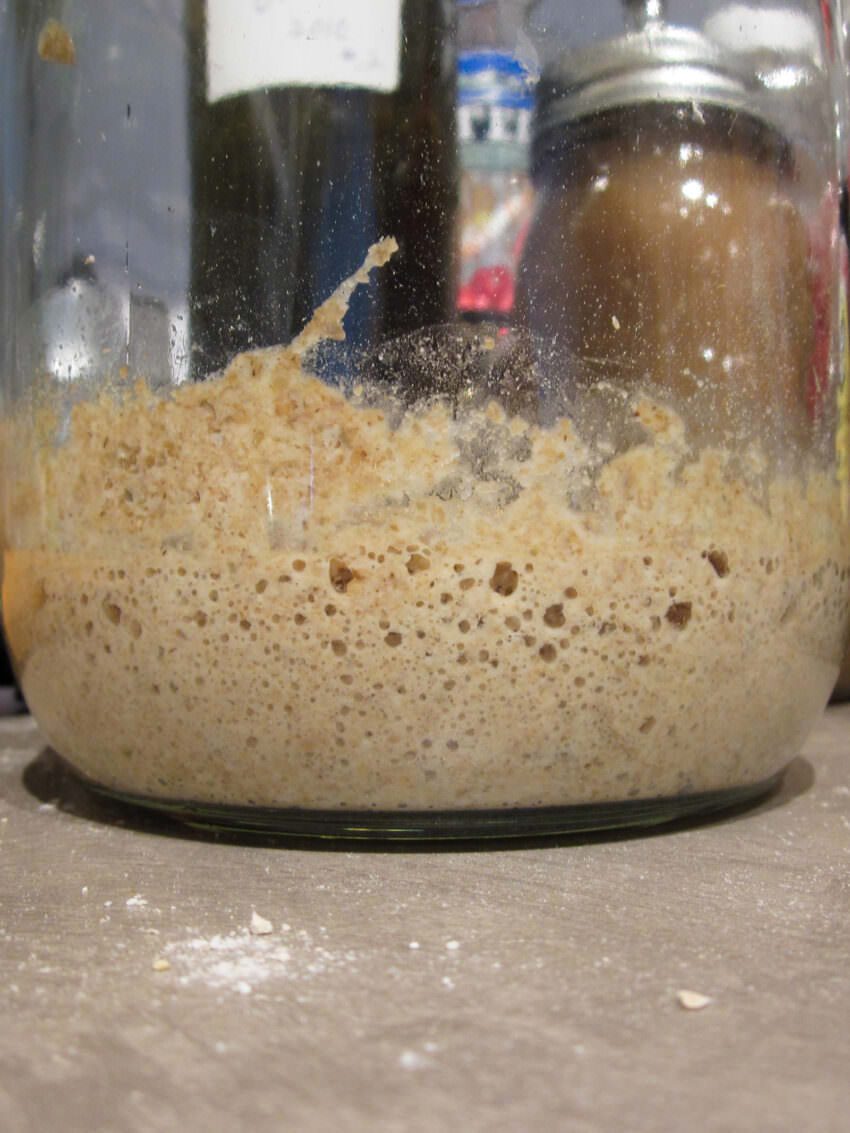 Sourdough Starter: Creation
