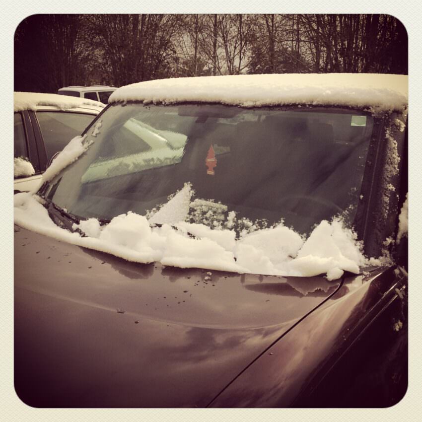Ragtop Mitts